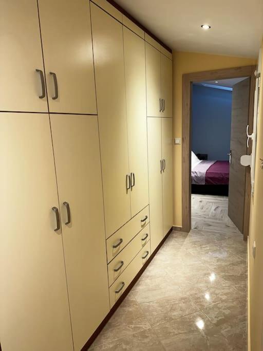 Demi'S House Apartment โวโลส ภายนอก รูปภาพ